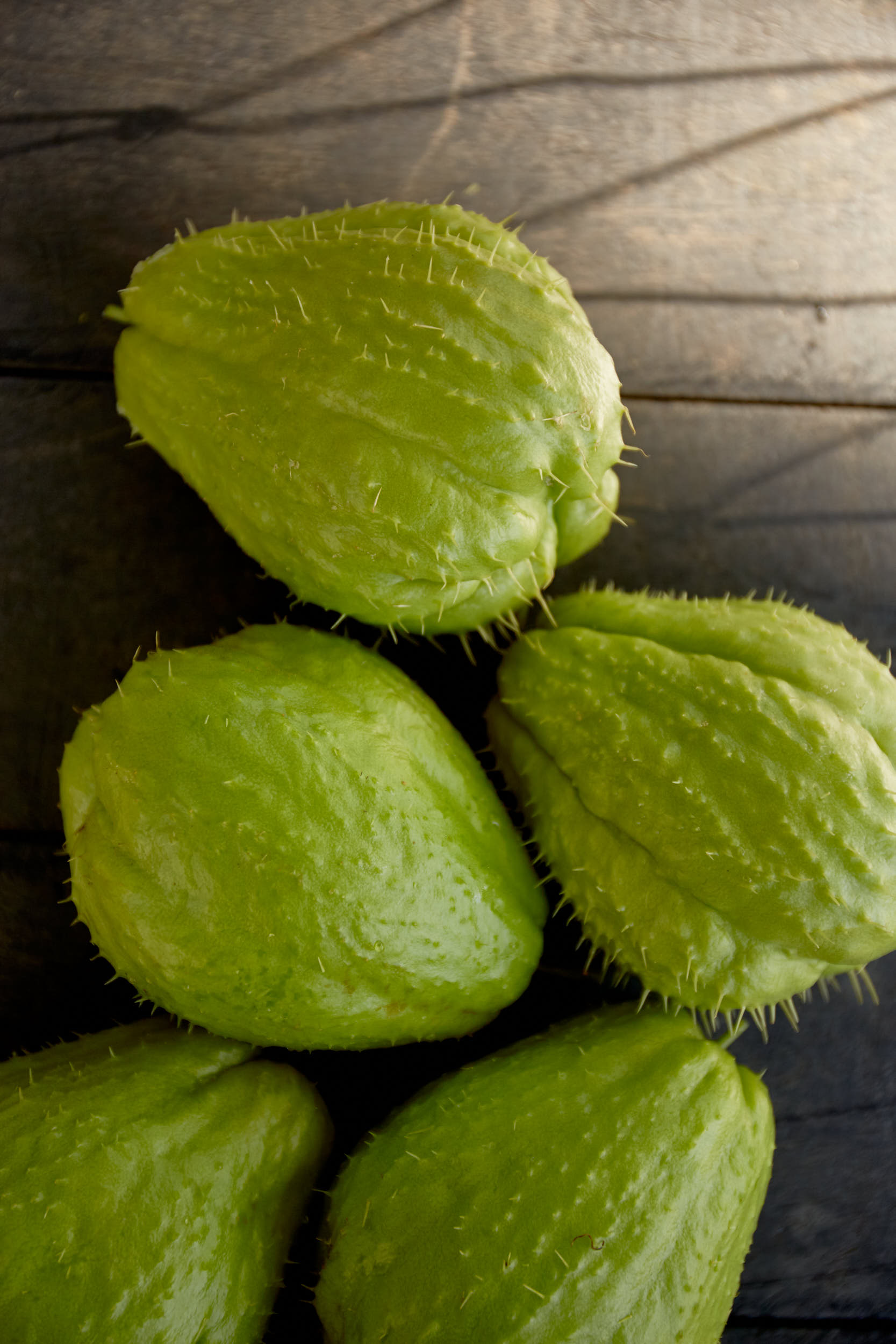 FOOD_CULTURE_244