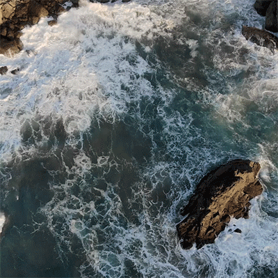 OCEAN