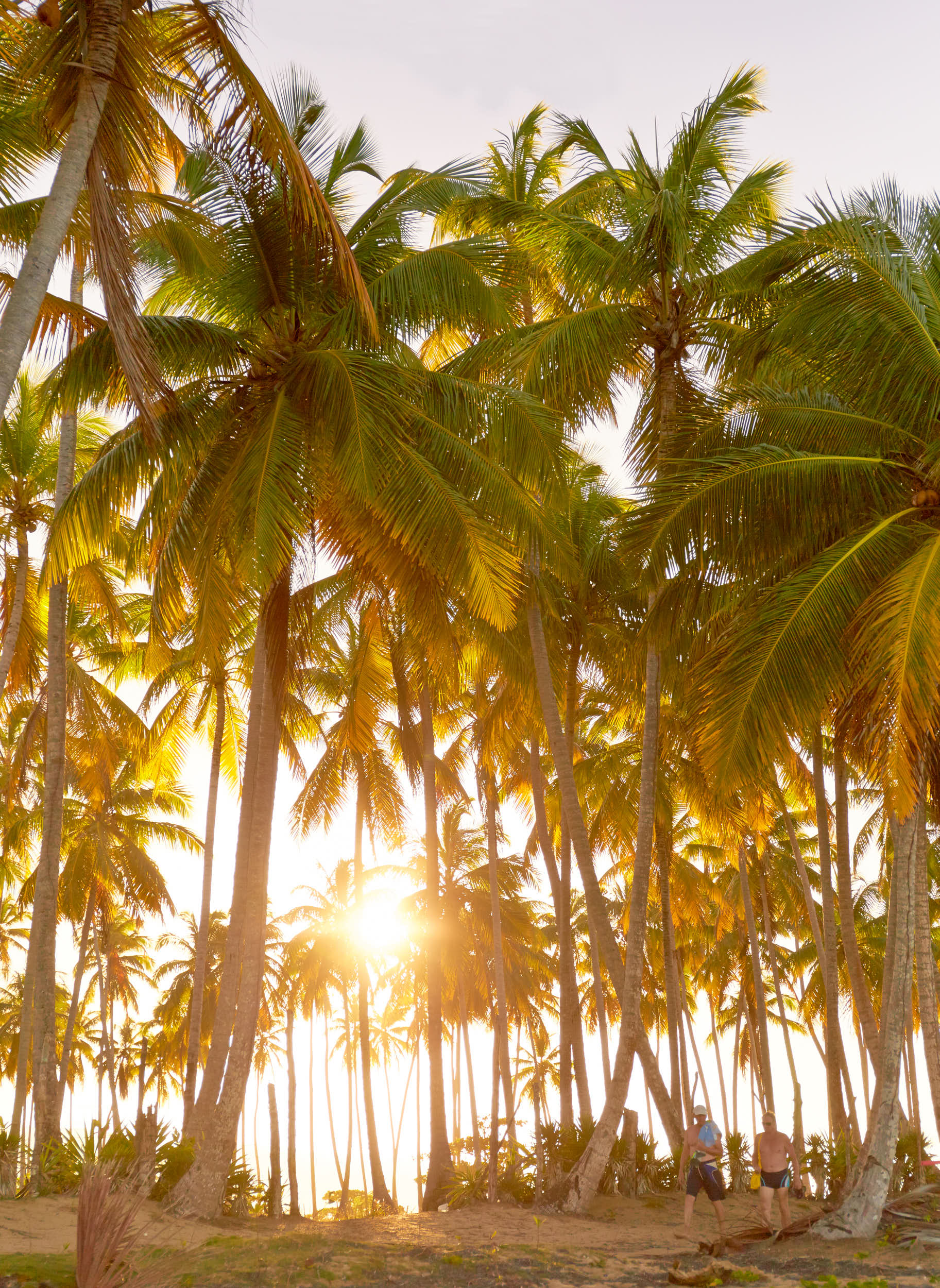 TRAVEL_416