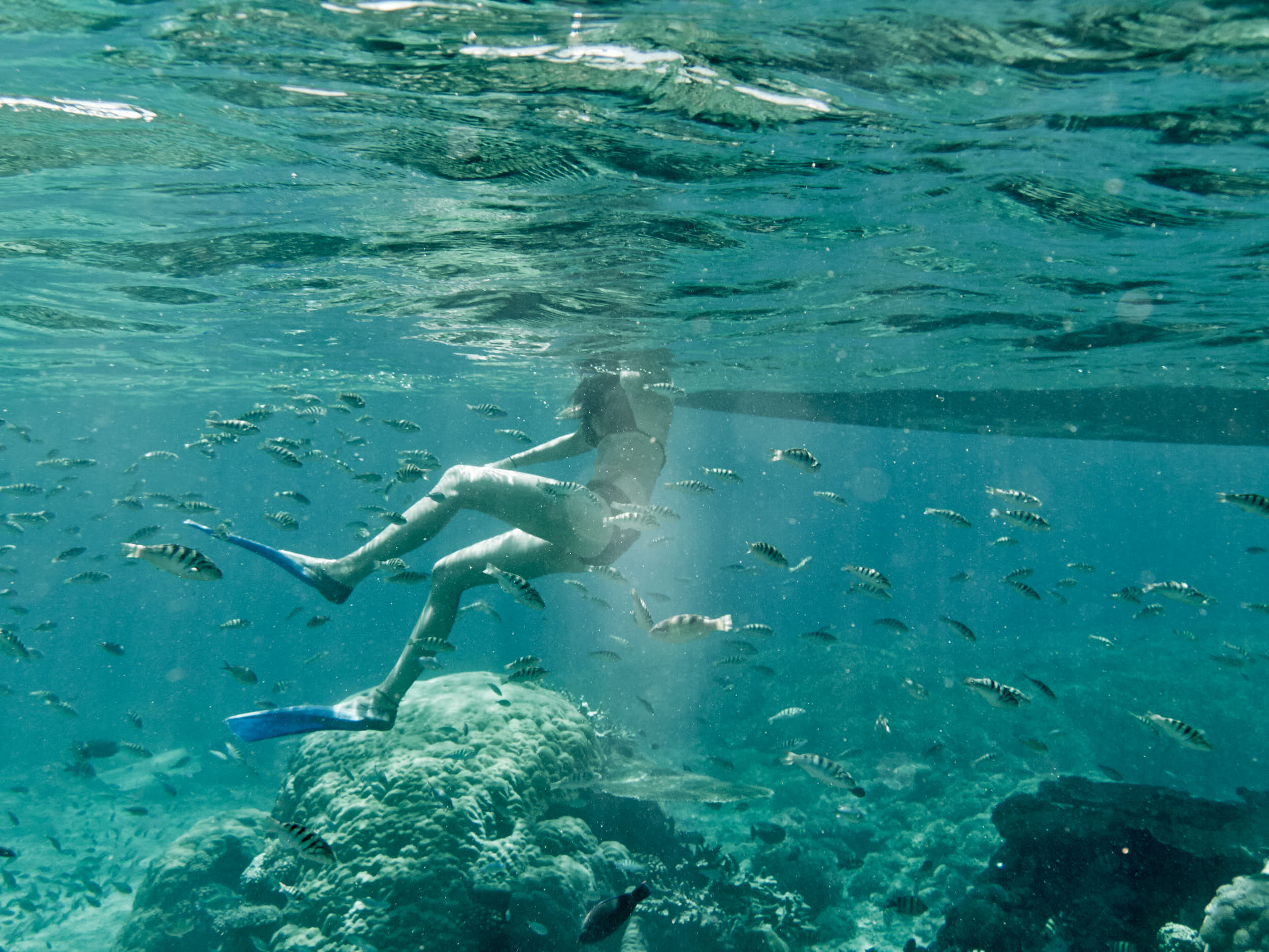 TRAVEL_439