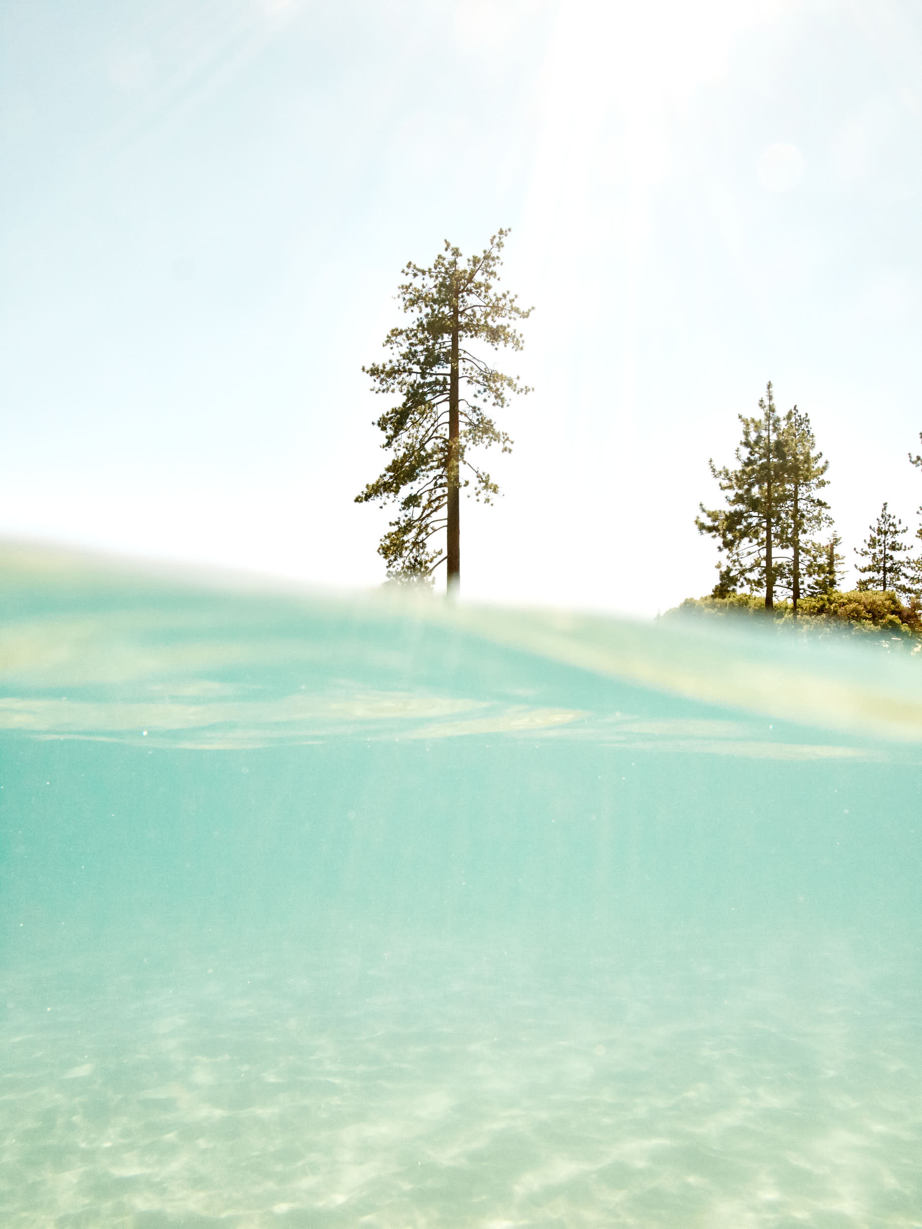 TRAVEL_440